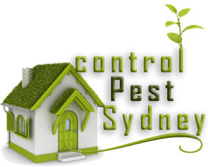 Best Pest Control Sydney